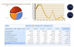 Enterprise 21 ERP Software