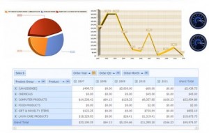 Enterprise 21 ERP Software